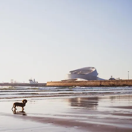 Oceanside Matosinhos - Ecohost Apartment
