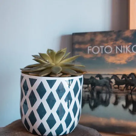 Oceanside - Ecohost Apartment