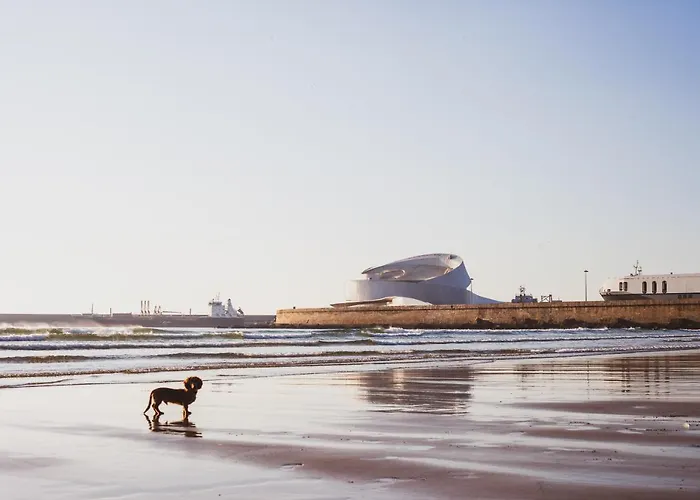 Oceanside - Ecohost דירה